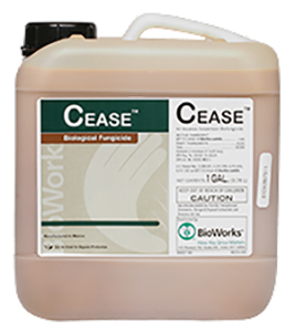 Cease Fungicide (2.5 gal)