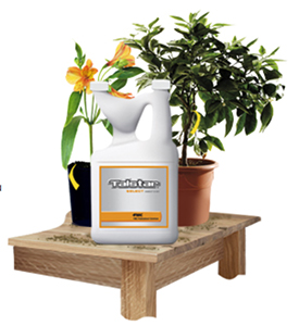 Talstar Select Insecticide (gal)