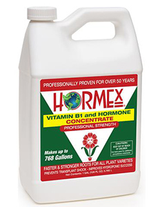 HORMEX Vitamin B1 and Hormones Concentrate