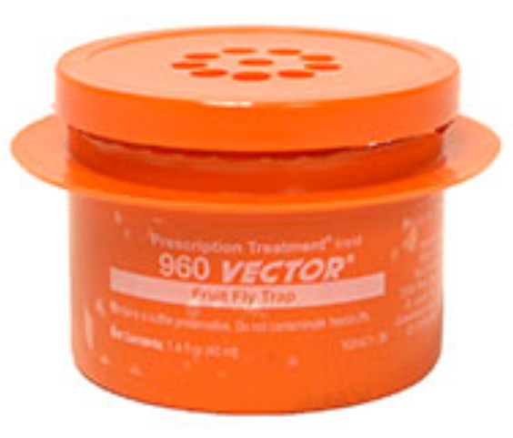 BASF Vector Fruit Fly Trap with Lure/Attractant