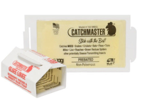 Catchmaster 150MB Mouse Board 3.5"x7" Gluee Louee